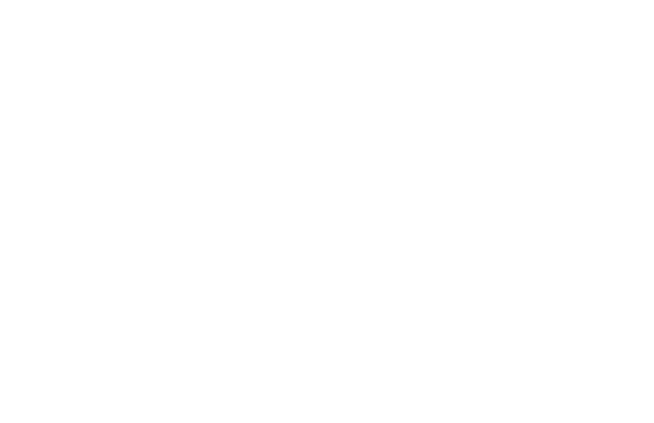 MJ Transport AB